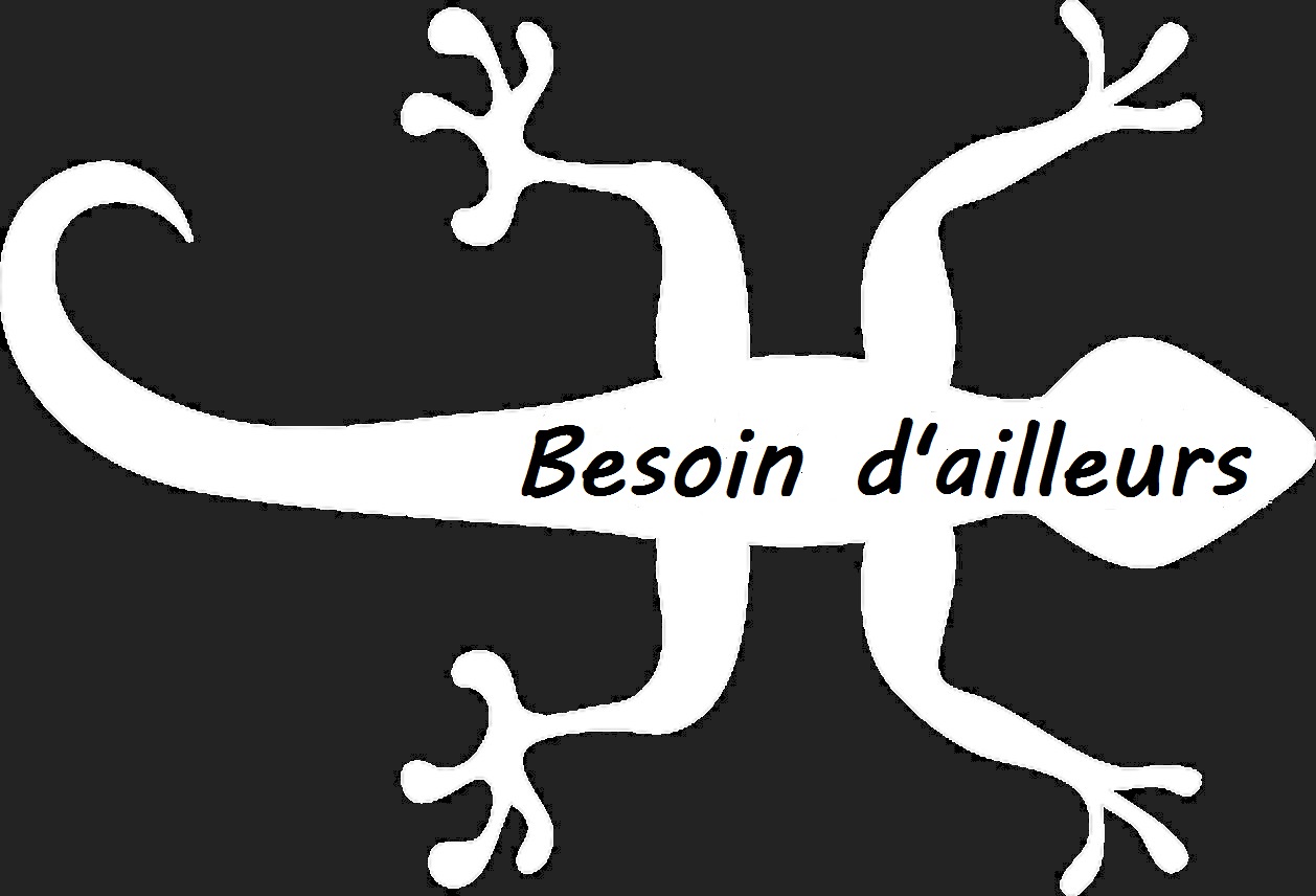Besoindailleurs.fr