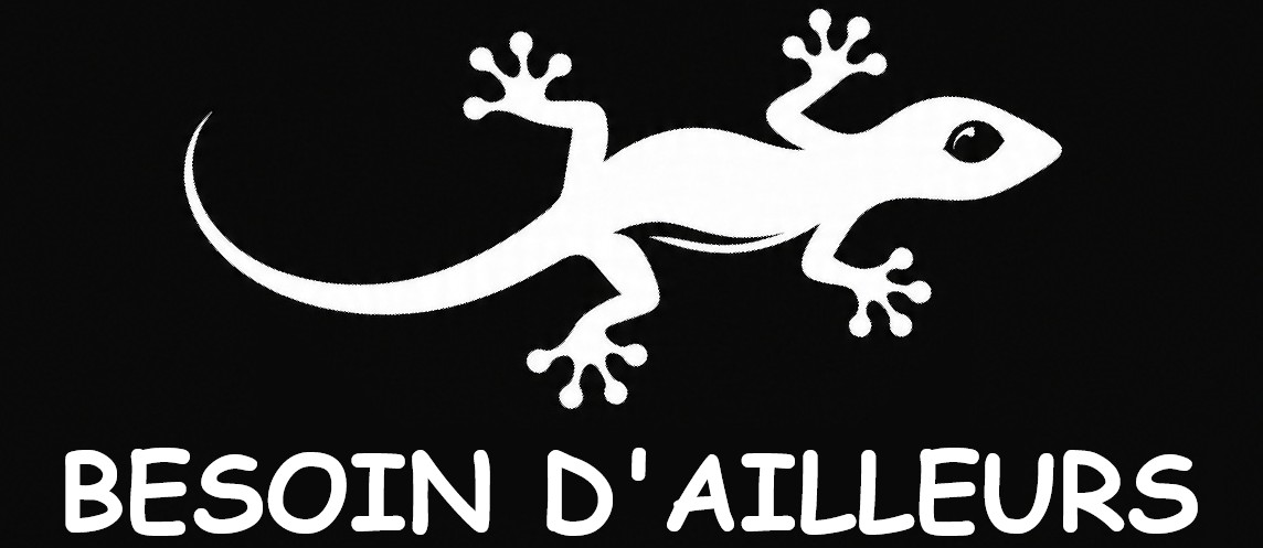 Besoindailleurs.fr